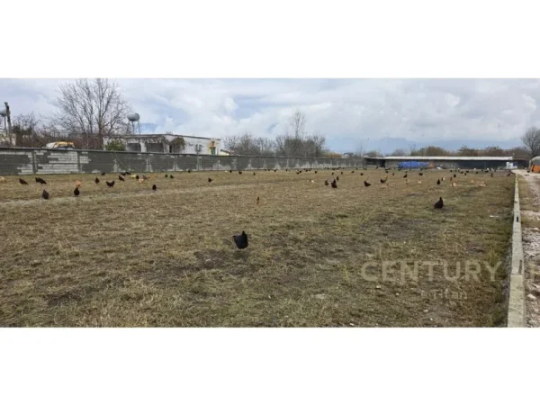 Tirane, shes ambjent biznesi Kati 3, 16.000 m² 2.000.000 € 