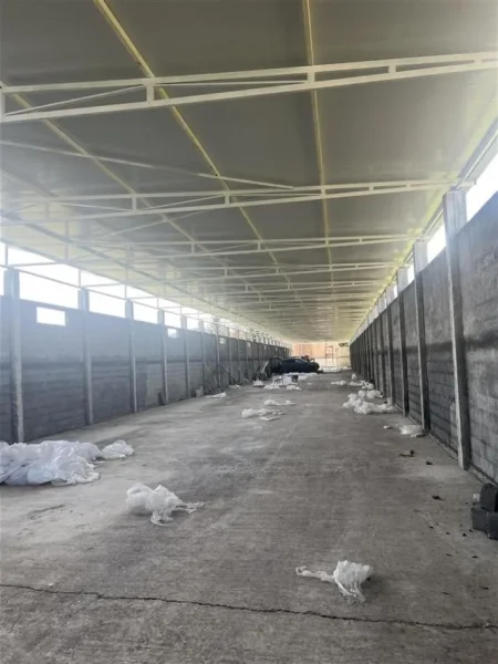 Tirane, jepet me qera magazine Kati 0, 800 m² 2.000 € (PRANE QTU)