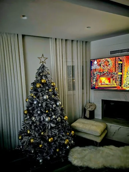 Okazion: Penthause me verande panoramike Linze, Rruga e Dajtit, i arreduar ne 2023 | Penthouse 2+1+Ballkon Kati 4, 176 m²