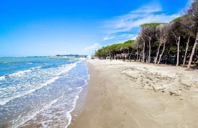 Golem, shitet toke , 1.000 m² 420.000 € (golem)