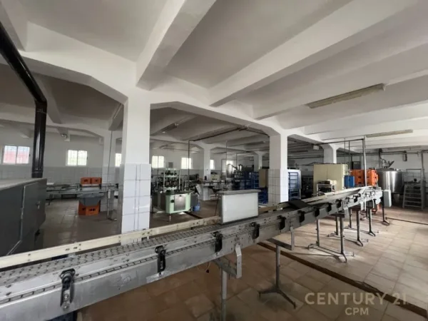 Tirane, shitet ambjent biznesi Kati 3, 600 m² 480.000 € (Tirana, Albania)