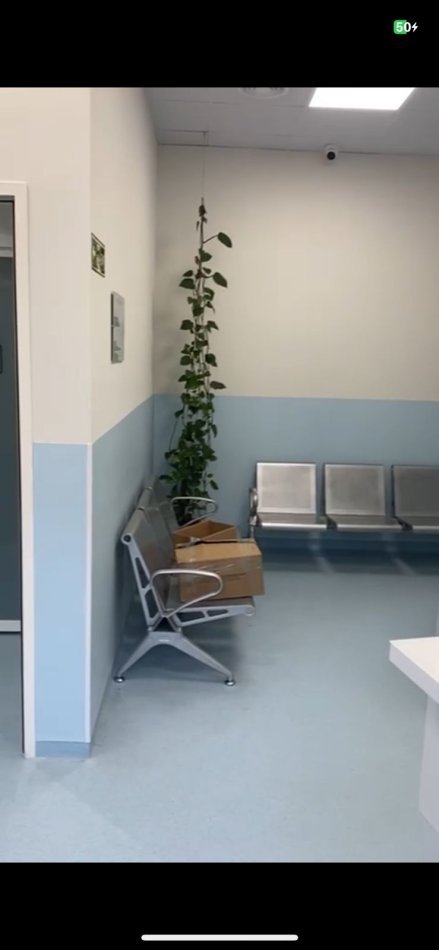 Tirane, shitet dyqan Kati 0, 132 m² 528.000 € (KOMUNA E PARISIT)