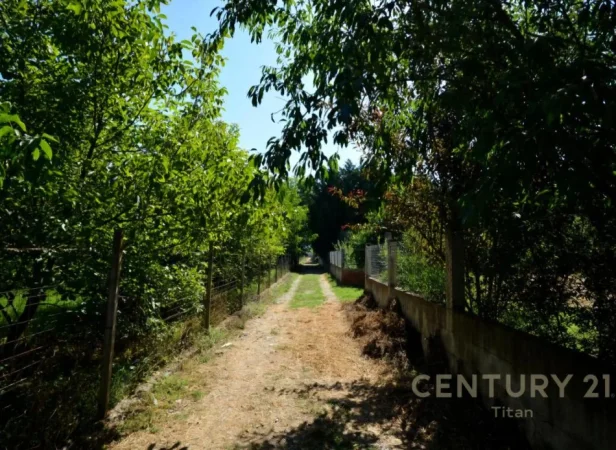 Tirane, shitet ambjent biznesi Kati 3, 160.000 m² 2.000.000 € (Rinas)