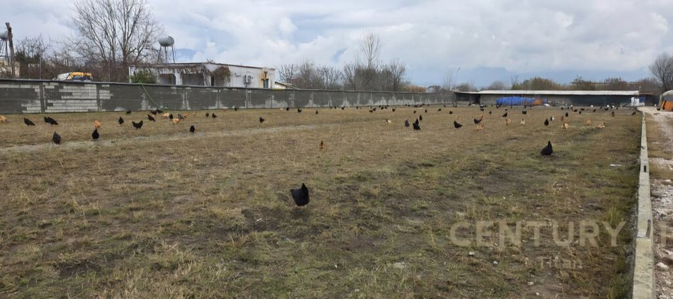 Tirane, shitet ambjent biznesi Kati 3, 160.000 m² 2.000.000 € (Rinas)