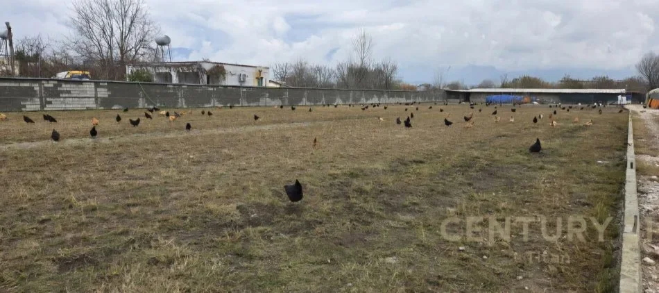 Tirane, shitet ambjent biznesi Kati 3, 160.000 m² 2.000.000 € (Rinas)