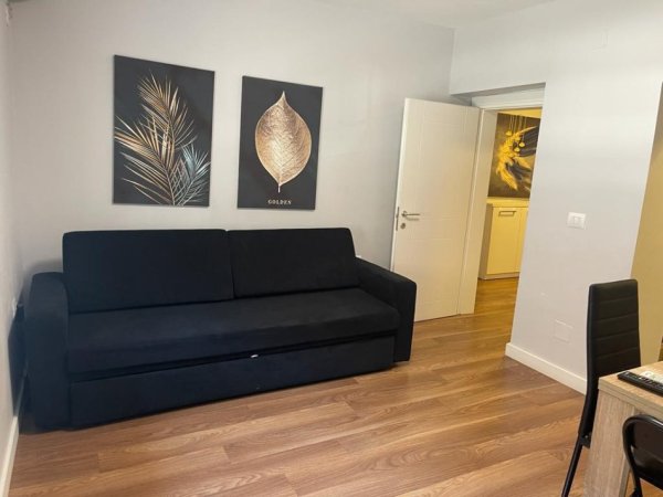 Tirane, jepet me qera apartament 1+1 Kati 1, 55 m² 650 € (rruga Sulejman Delvina)