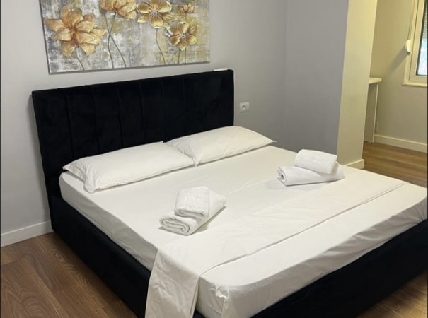 Tirane, jepet me qera apartament 1+1 Kati 1, 60 m² 650 € (Rruga Sulejman Delvina)