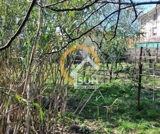 Shkoder, shitet toke , 1.220 m² 213.500 € (rr. ARRA MADHE SHKODER)