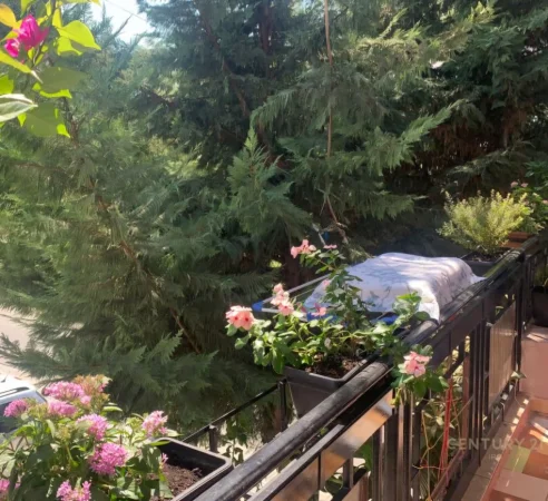 Tirane, shitet Vile 4+1+Ballkon Kati 2, 202 m² 370.000 € (5 Maji)