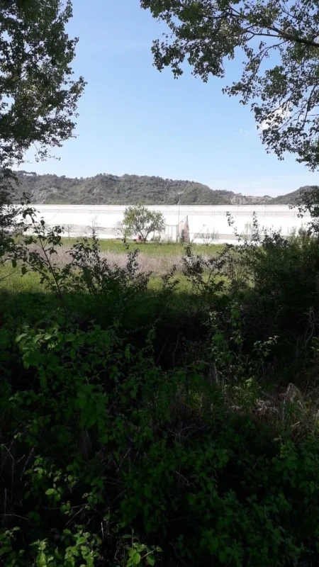 Fushe Preze, jepet me qera/shitet sere izraelite + toke 7000 m2 (Fushe preze ahmetaq) Fushe Preze, greenhouse for rent/sale + land 7000 m2 (Preze Ahmetaq field)