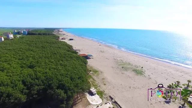 Kavaje, shes truall 10000 m² 175 Euro/m² (Spille)