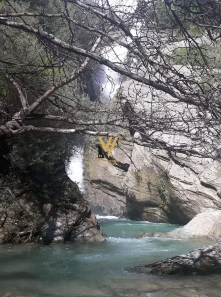 Berat, shitet bar-resorant Kati 0, 1.640 m² 350.000 € (BOGOVE)