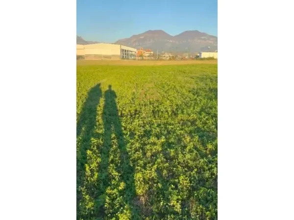 Tirane, shitet toke , 2.920 m² 160.000 € (Kamez, rruga Apollonia)