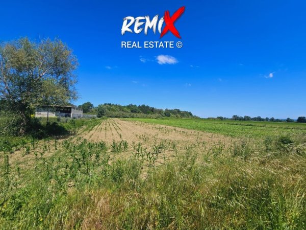 Durres, shitet toke , 12.000 m² 85.000 € 
