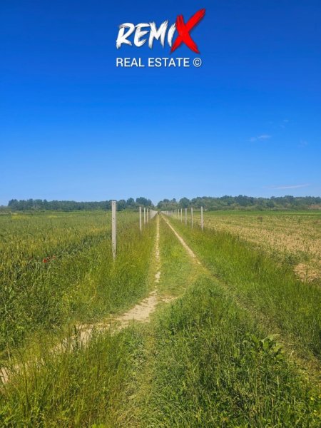 Durres, shitet toke , 12.000 m² 85.000 € 