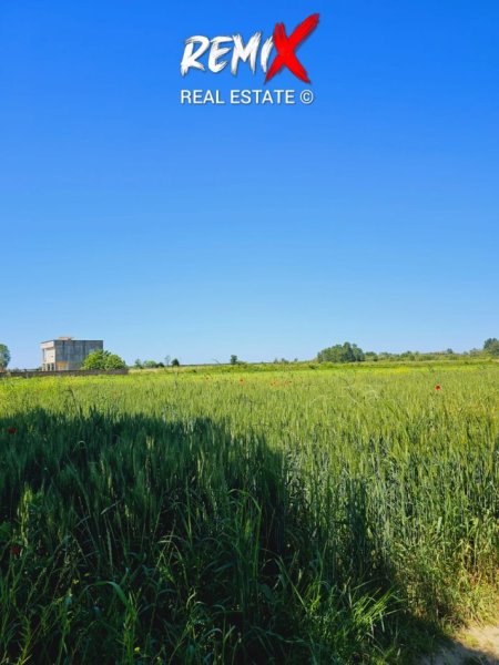 Durres, shitet toke , 12.000 m² 85.000 € 