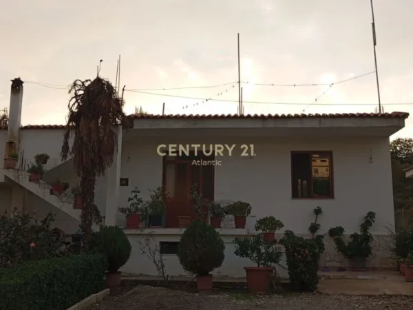 Durres, shes shtepi 3+1 Kati 0, 608 m² 120.000 € 