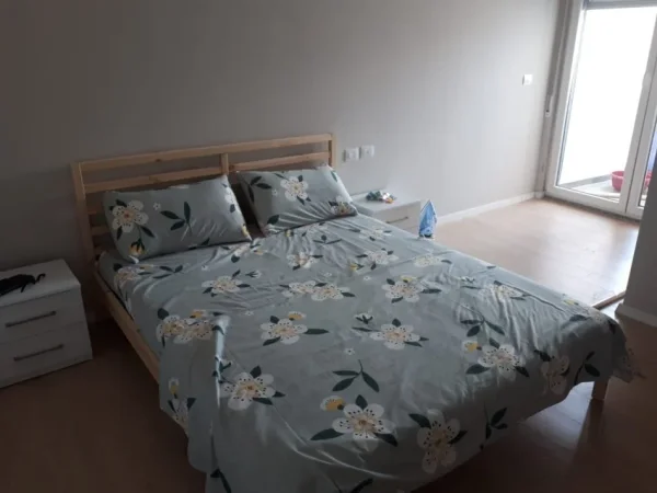 Tirane, jepet me qera apartament 1+1 Kati 2, 70 m² 550 € (Ali Demi, prane Maternitetit te Ri)