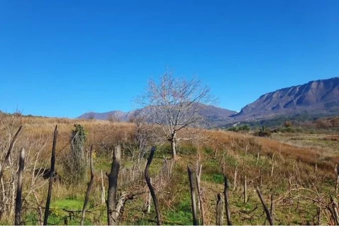 Tirane, shitet truall , 2.714 m² (Lunder)