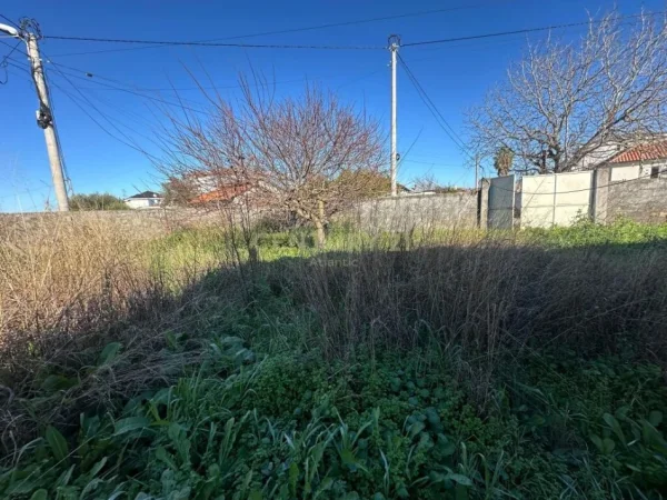 Durres, shitet shtepi 2+1 Kati 0, 548 m² 75.000 € (SHIJAK)