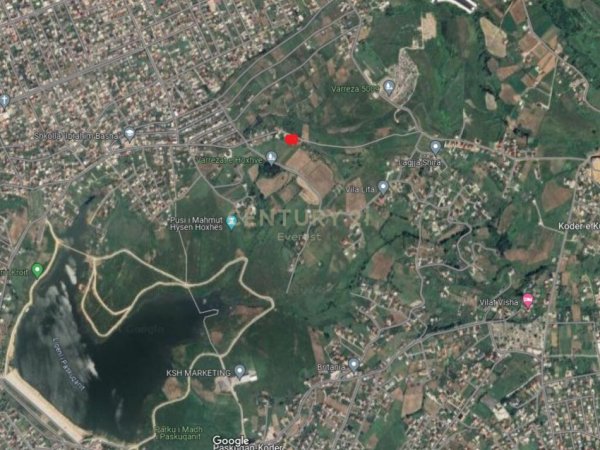 Tirane, shes ambjent biznesi , 250 m² 800.000 € (Paskuqan)