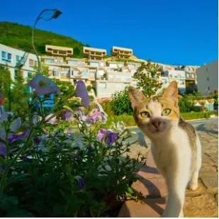 Tirane, shitet apartament 2+1 , 92 m² 142.000 € (Kodra e Diellit 2)