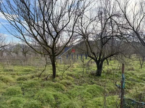 Tirane, shitet toke , 4.700 m² 301.440 € (Picalle)