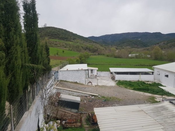 Tirane, shes toke , 2.000 m² (Baldushk)