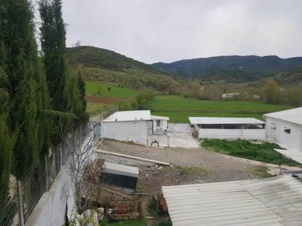 Tirane, jepet me qera toke , 2.000 m², 1500 euro (Baldushk)
