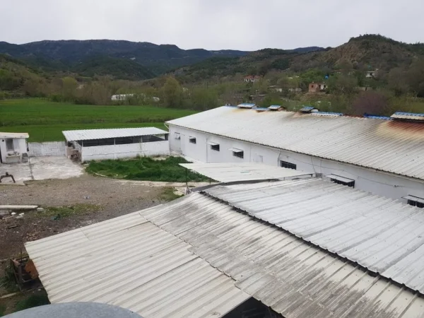 Tirane, jepet me qera toke , 2.000 m², 1500 euro (Baldushk)