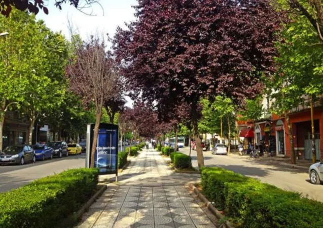 Tirane, jepet me qera ambjent biznesi Kati 2, 80 m² 1.000 € (Tregu Cam)