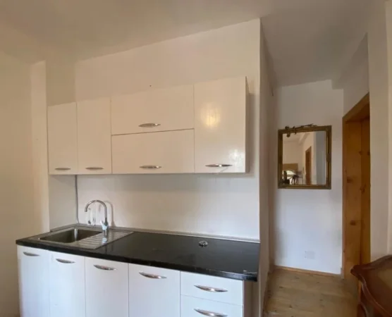 Tirane, jepet me qera apartament 2+1 Kati 1, 141 m² 500 € (kopshti zoologjik)