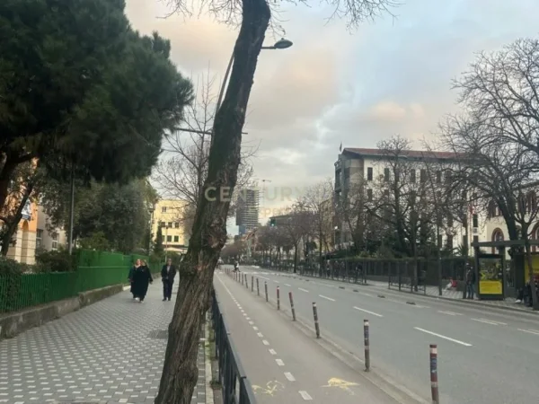 Tirane, jepet me qera ambjent biznesi Kati 0, 54 m² 400 € (Rruga e Durresit)