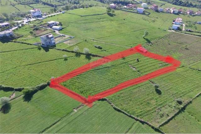 Tirane, shes truall 5.000 m² 100 Euro/m2 (Farke)