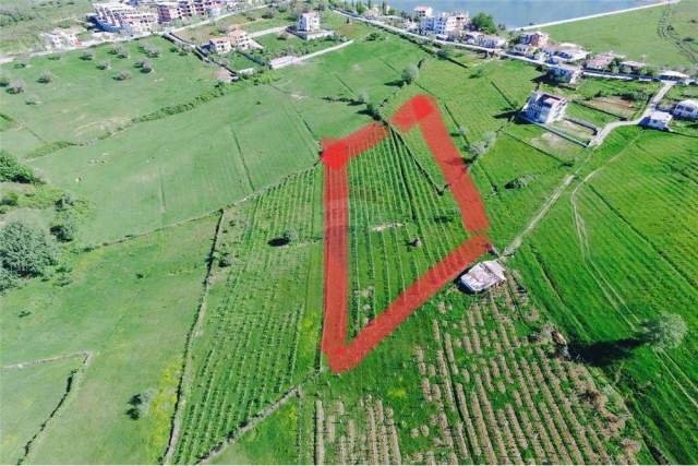 Tirane, shes truall 5.000 m² 100 Euro/m2 (Farke)