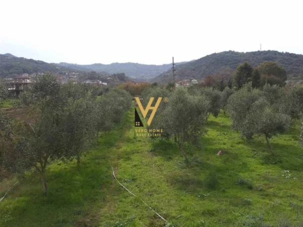 Tirane, shitet toke , 3.000 m² 95.000 € (NDROQ)