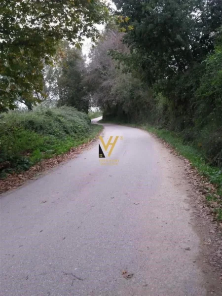 Tirane, shitet truall , 8.000 m² 490.000 € (NDROQ)