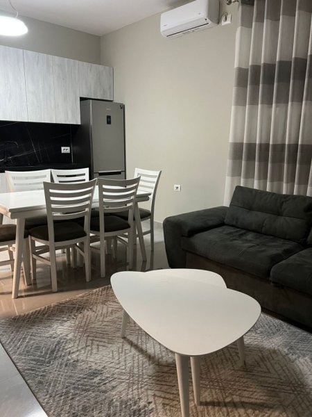 Tirane, jepet me qera shtepi 1+1+Ballkon Kati 0, 60 m² 600 € (SAUK I VJETER)