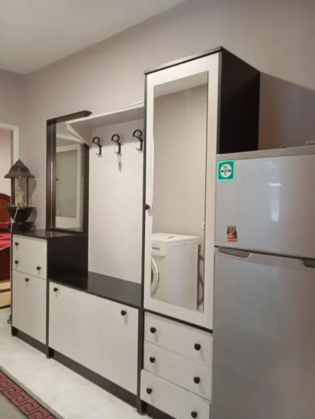 Tirane, jepet me qera apartament 1+1 , 450 € (Ferit Xhajko)