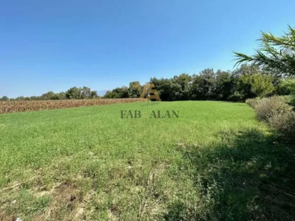 Tirane, shitet toke , 2.799 m² 280.000 € (Rruga e Aeroportit, Berxulle)