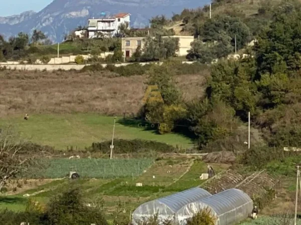 Tirane, shitet toke , 4.000 m² 300.000 € (Kombinat)