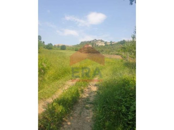 📌Tirane, shes toke 13.600 m²  (Petrele)
