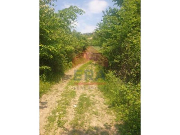 📌Tirane, shes toke 13.600 m²  (Petrele)