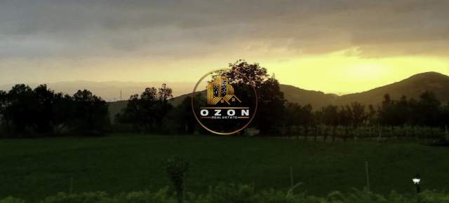 Tirane, shes toke 1.500 m² 37.500 Euro (Priske e Madhe)
