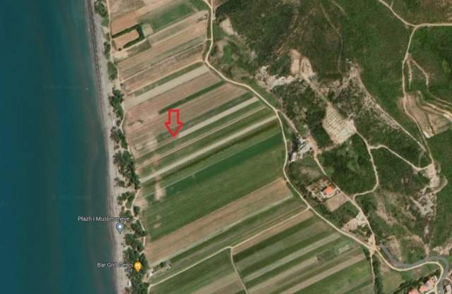 Spille, shes toke ne bregdet 32.000 m² 80 Euro/m2