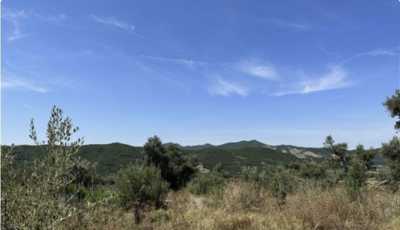 Tirane, shitet Kati 0, 100.000 m² 400.000 € (Vishaj)