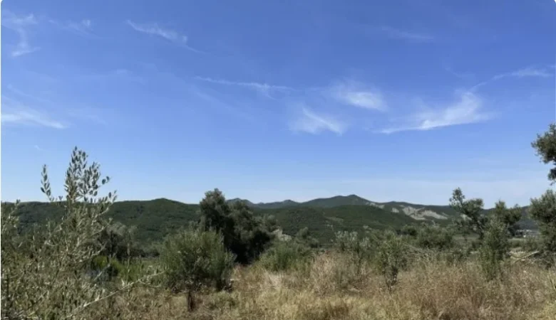 Tirane, shitet Kati 0, 100.000 m² 400.000 € (Vishaj)