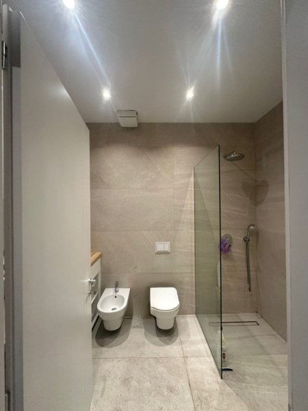 Tirane, jepet me qera apartament 2+1+Ballkon Kati 4, 160 m² 2.000 € (Lion Park, Rruga e Elbasanit)