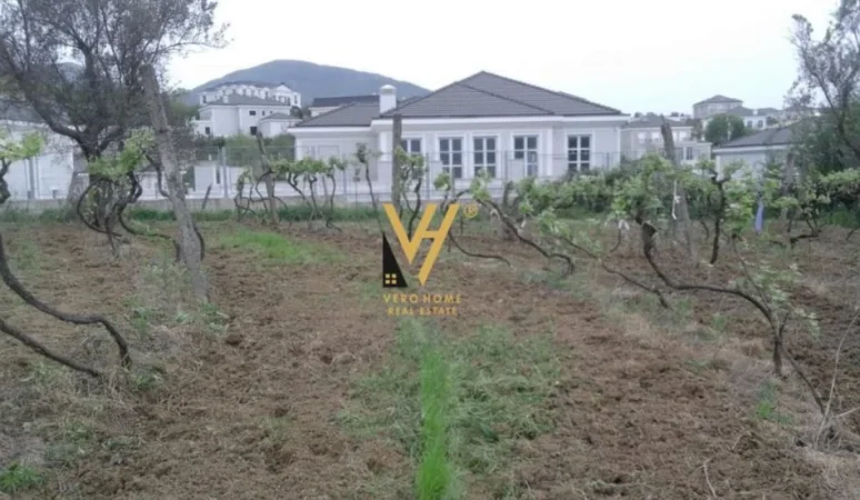 Tirane, shitet toke , 5.000 m² 600.000 € (LUNDER)