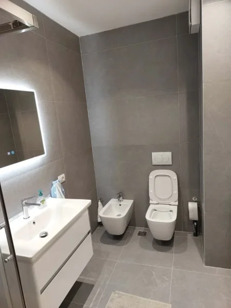 Tirane, shitet apartament 1+1 Kati 1, 42 m² 60.000 € (ali demi)